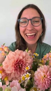 Hi Colorado friends. The Colorado primary election is June 30. That's this coming Tuesday. Please vote!

I highly, highly recommend Amanda Gonzalez for Secretary of State. (@amandaforcolorado) We're so lucky to have the most qualified person ever to have run, here in Colorado, ready to defend our elections. She's written state election laws, she's the only attorney in the race, she's the only one who has run elections and she's deeply invested in protecting and expanding our voting rights. 

Here in Colorado, the primary is actually a more impactful election than the general. So please vote!

P.S. You can tell I feel strongly about this because of the intensity of my forehead wrinkles. 😆 

Feel free to message/comment with questions. 💚