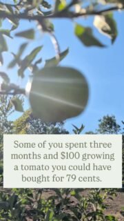 Please respect my harvest. 😆 

Anyone else have deeply unimpressive produce stories?

#gardening #urbanfarming #urbanfarm